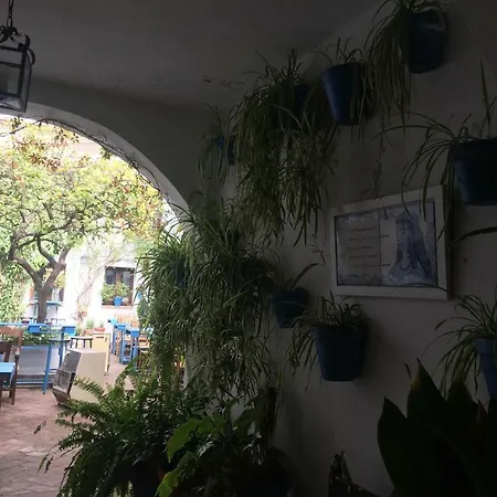 El Patio De Maria