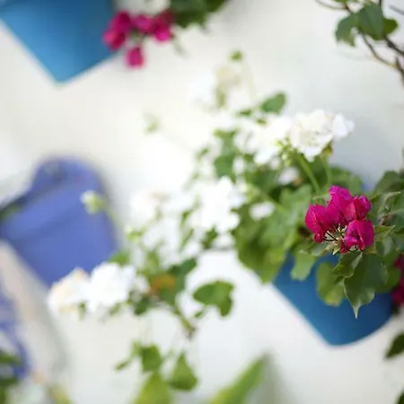 El Patio De Maria Homestay Cordoba