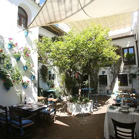 El Patio De Maria
