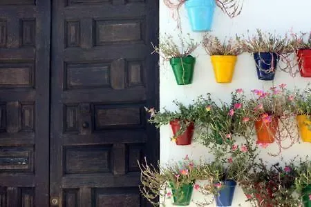 Homestay El Patio De Maria *