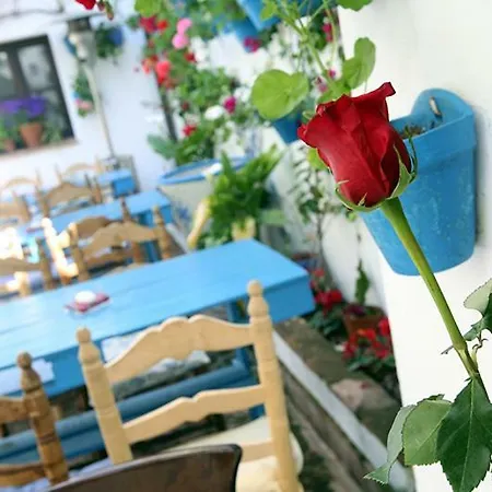Homestay El Patio De Maria